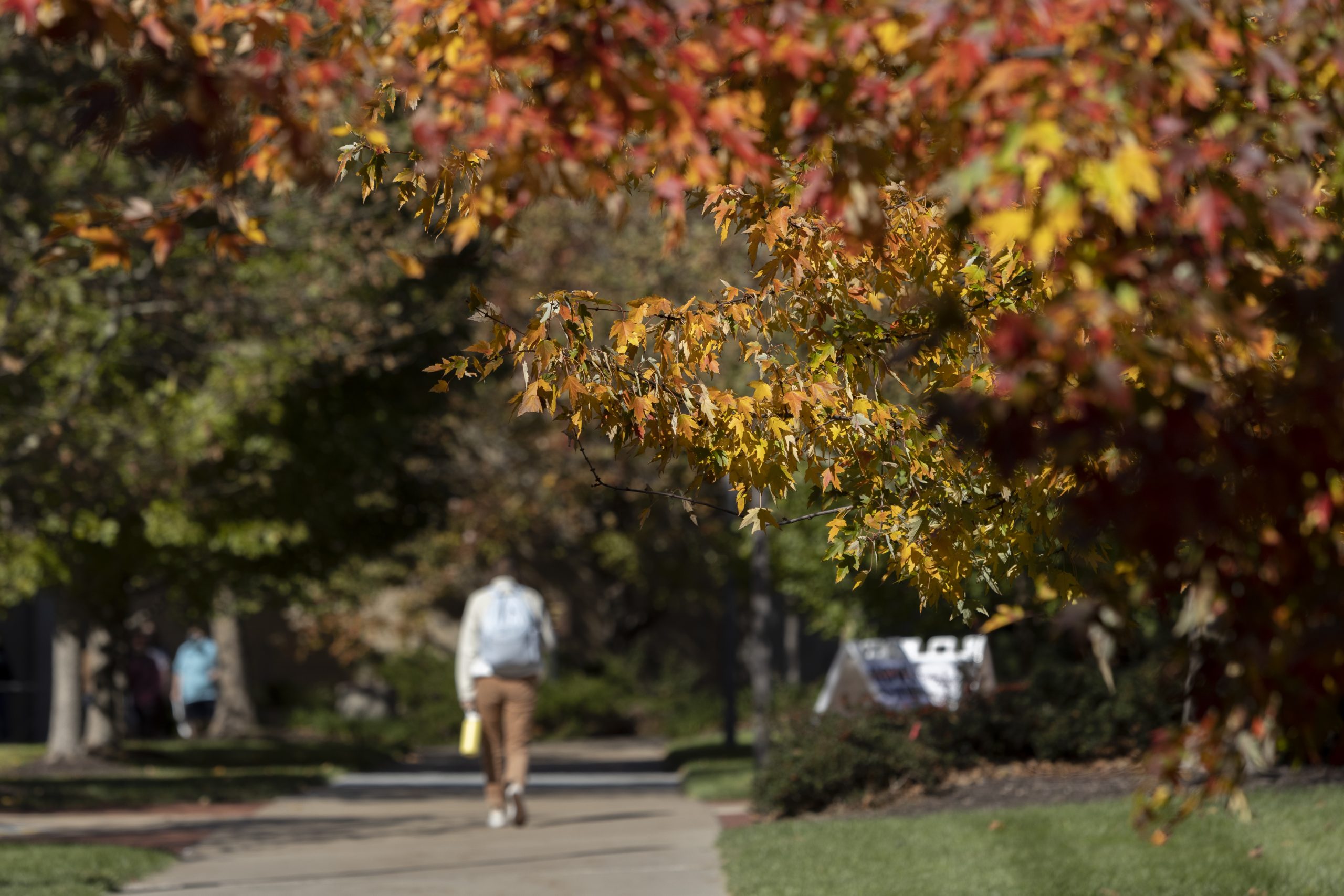 Campus fall beauty near the Student Center