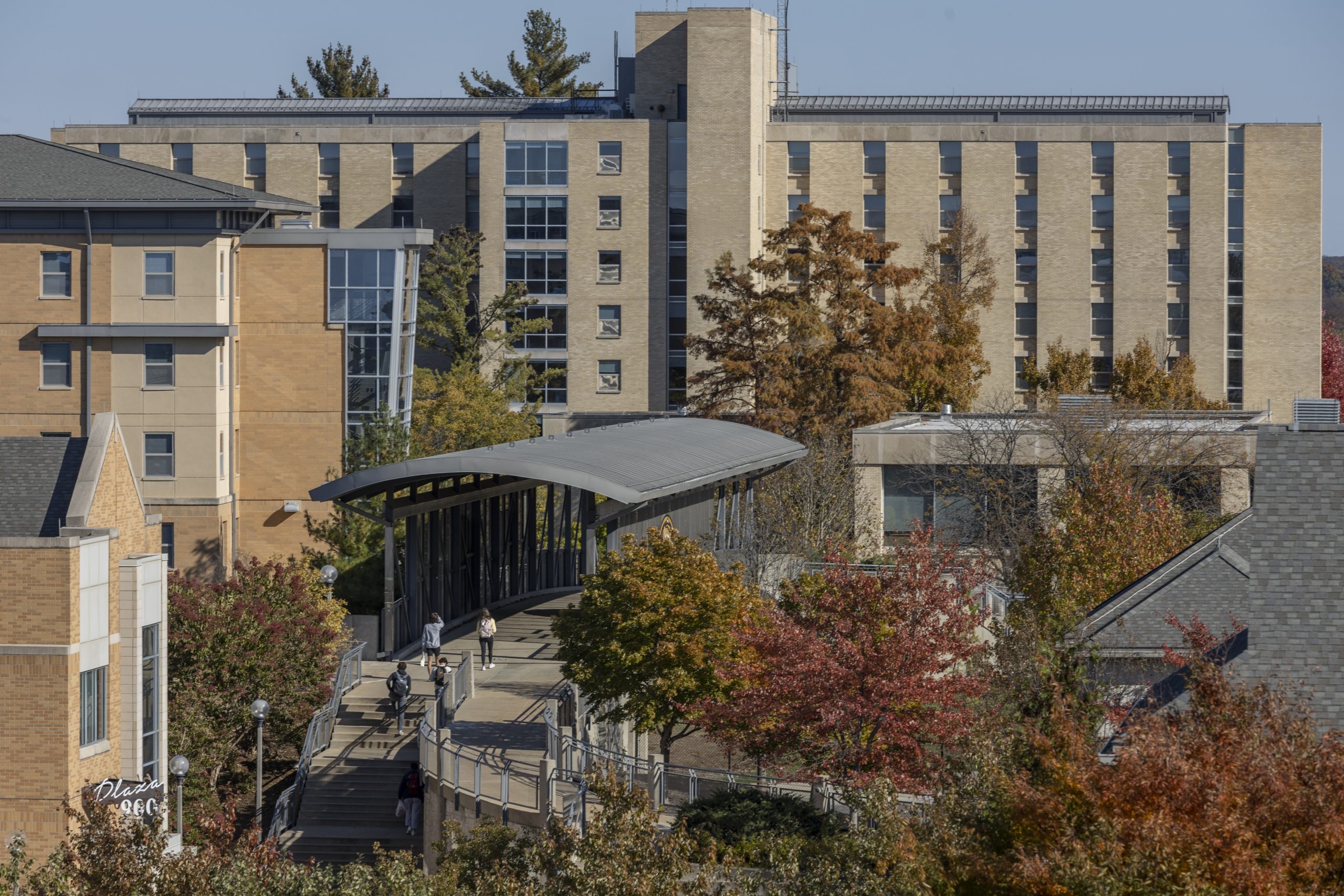 Fall leaves on campus near the residential halls