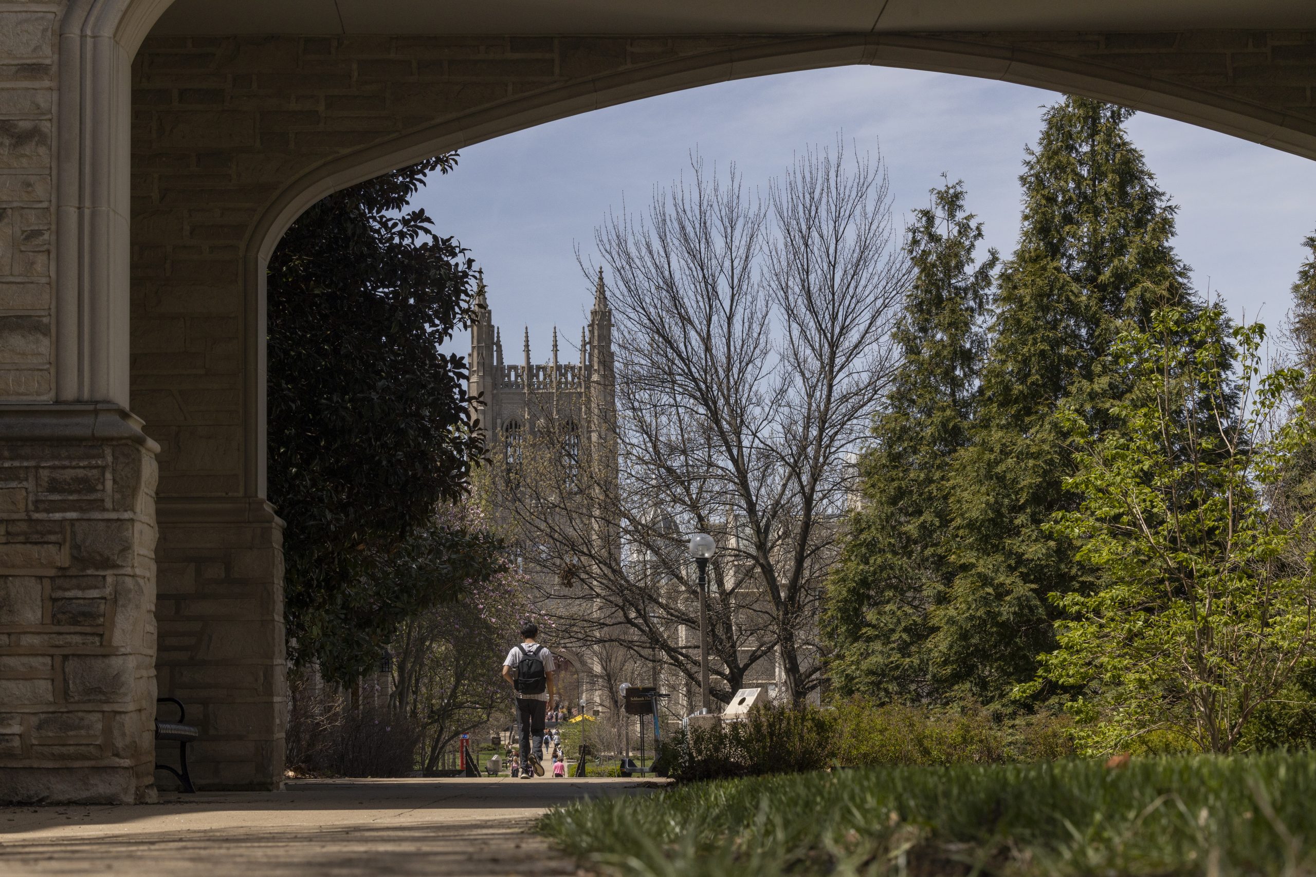 Students spend time outside in the spring