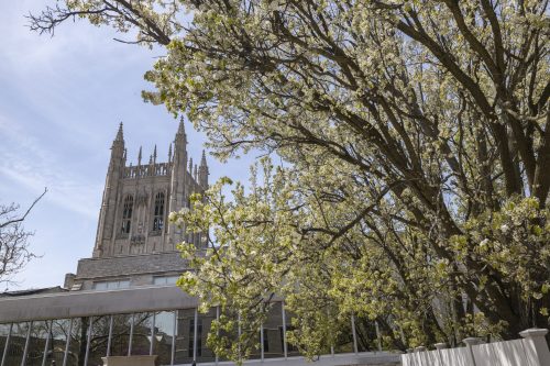 Students spend time outside in the spring