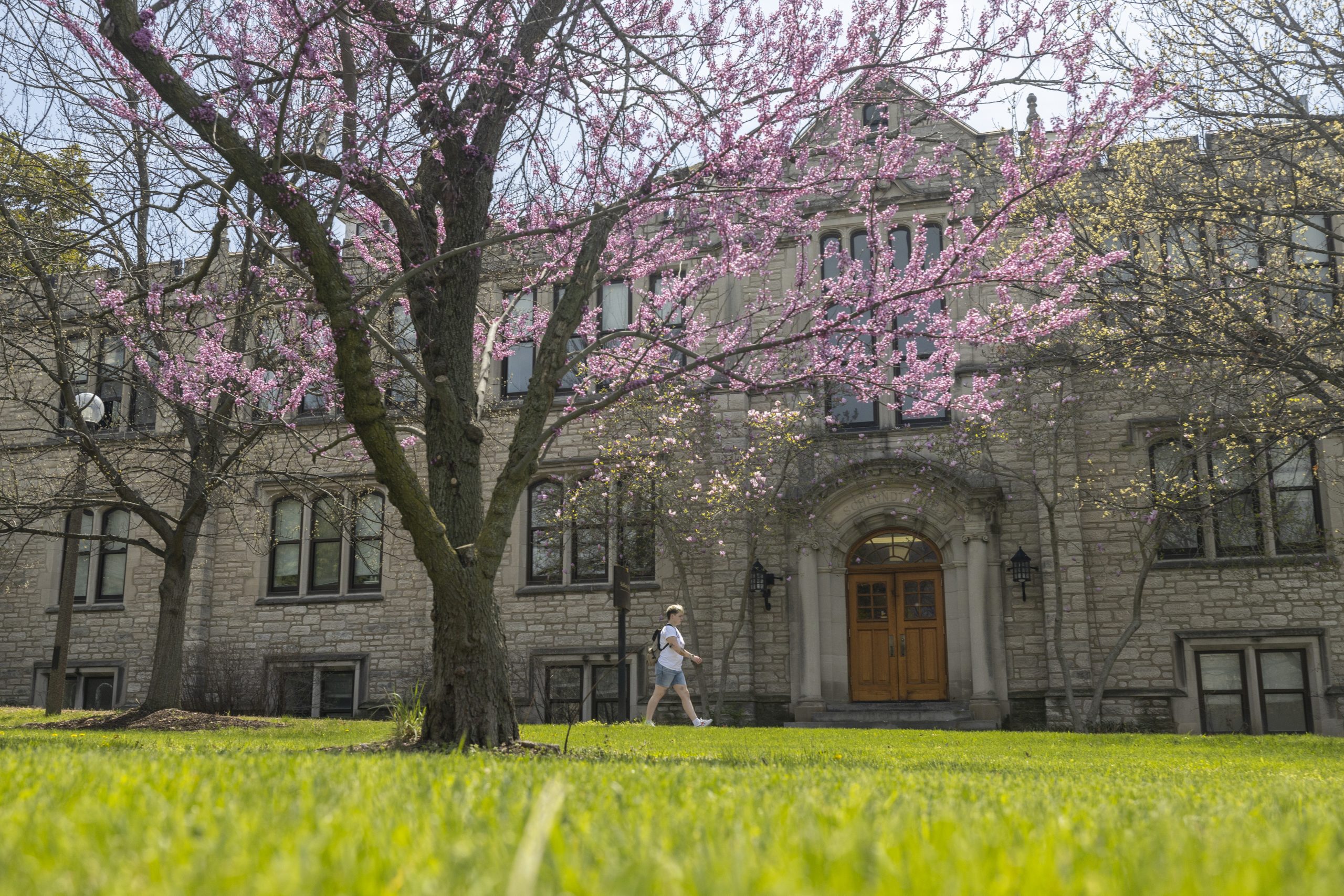 Spring trees near Schlundt Hall