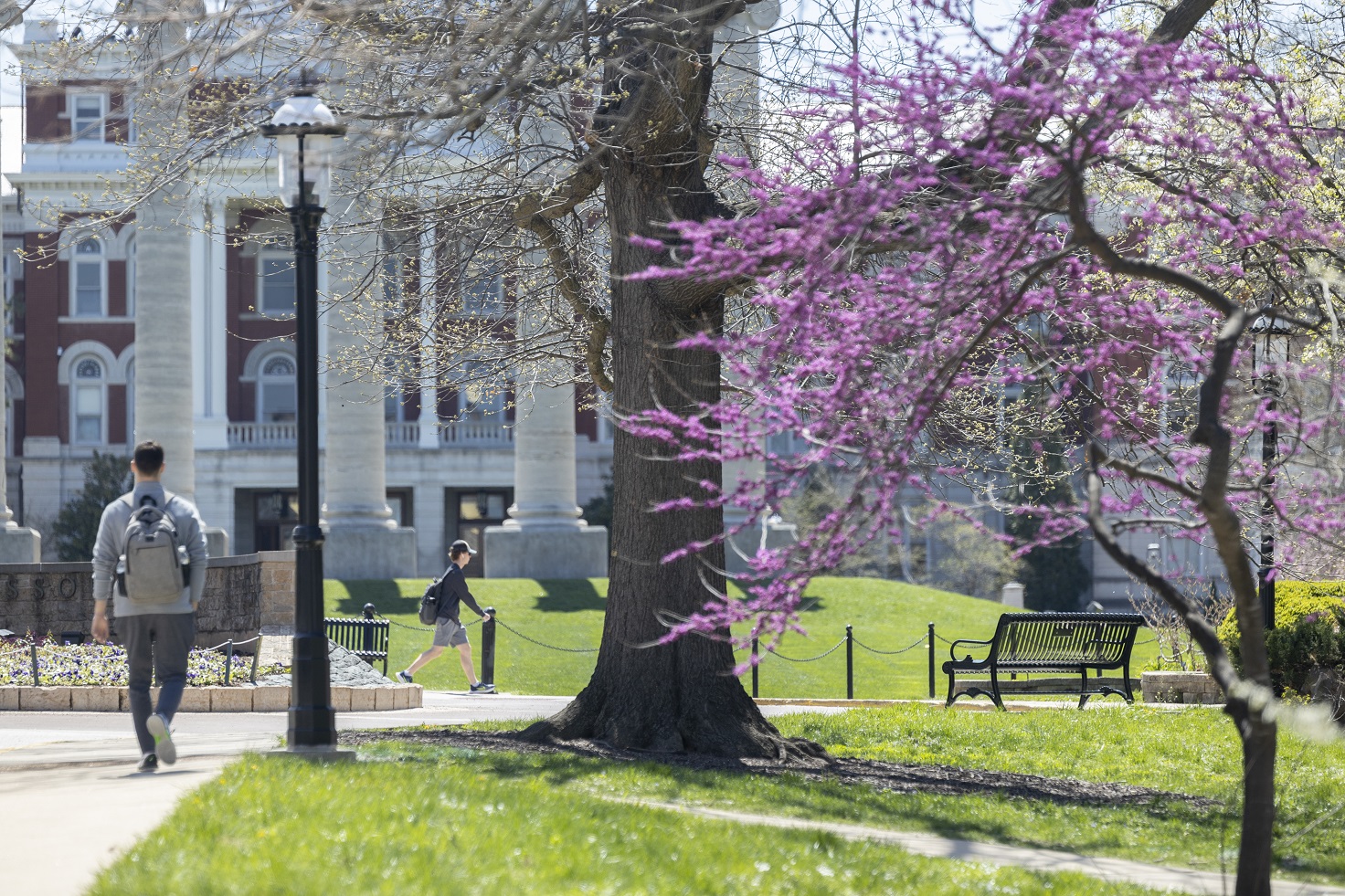 Students walking on campus